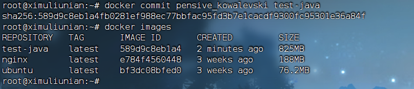 image-20240525201044028